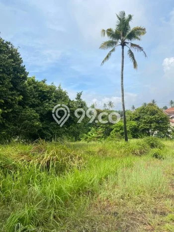 Lahan Dijual Lokasi Citangkil, Cilegon dengan Luas Tanah 1000m2 dan Status SHM Lahan Dijual Lokasi Citangkil, Cilegon dengan Luas Tanah 1000m2 dan Status SHM