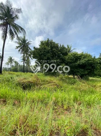 Lahan Dijual Lokasi Citangkil, Cilegon dengan Luas Tanah 1000m2 dan Status SHM Lahan Dijual Lokasi Citangkil, Cilegon dengan Luas Tanah 1000m2 dan Status SHM