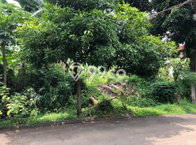 Tanah di Serpong Utara, Tangerang Selatan Luas 403m2 Dijual Segera Tanah di Serpong Utara, Tangerang Selatan Luas 403m2 Dijual Segera
