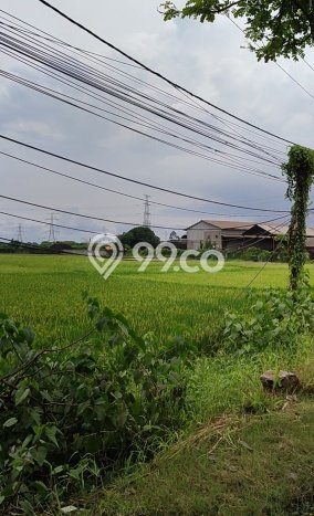 Tanah di Bojonegara, Serang Luas 220000m2 Dijual Segera Tanah di Bojonegara, Serang Luas 220000m2 Dijual Segera