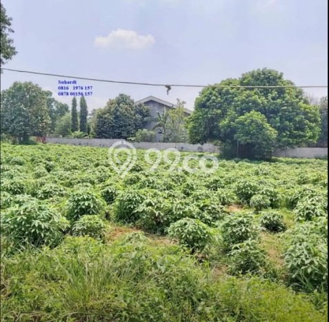 Tanah Kosong Dijual di Bogor dengan Area 1500m2 Tanah Kosong Dijual di Bogor dengan Area 1500m2