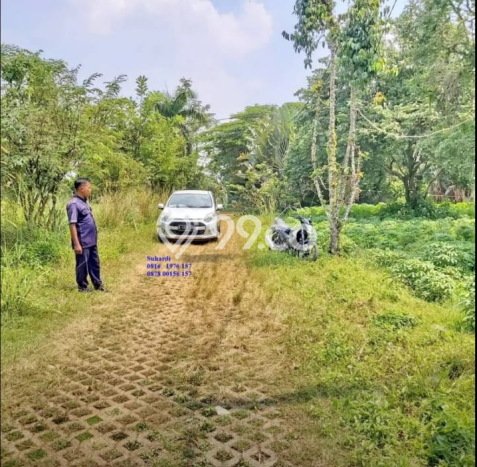 Tanah Kosong Dijual di Bogor dengan Area 1500m2 Tanah Kosong Dijual di Bogor dengan Area 1500m2
