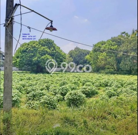 Tanah Kosong Dijual di Bogor dengan Area 1500m2 Tanah Kosong Dijual di Bogor dengan Area 1500m2