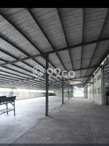 Gudang Dijual Lokasi Stratagis di Tigaraksa Tangerang Cocok untuk Investasi Gudang Dijual Lokasi Stratagis di Tigaraksa Tangerang Cocok untuk Investasi