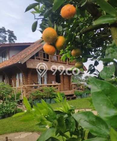 For Sale Rumah Elit Exclusive di Lembang, Bandung Barat For Sale Rumah Elit Exclusive di Lembang, Bandung Barat