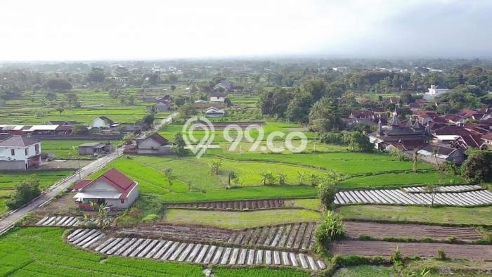 Lahan Strategis di Sleman Dijual dengan Luas 131m2 Lahan Strategis di Sleman Dijual dengan Luas 131m2