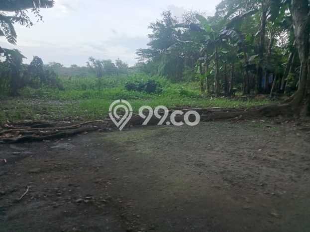 Tanah Siap Bangun Dijual di Jakarta Barat Punya Luas 7185m2 Tanah Siap Bangun Dijual di Jakarta Barat Punya Luas 7185m2