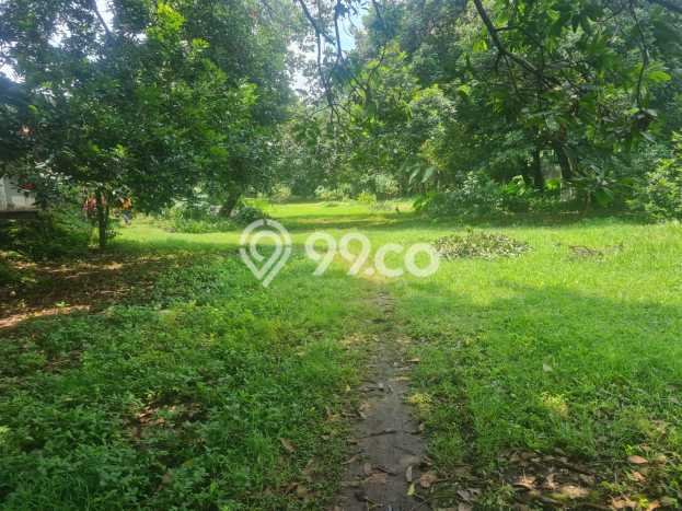 Tanah Kavling Dijual di Cibubur, Jakarta Timur dengan Luas Tanah 5138m2 Tanah Kavling Dijual di Cibubur, Jakarta Timur dengan Luas Tanah 5138m2