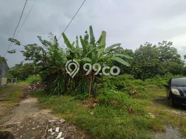 Lahan Dijual Lokasi Strategis di Badung dengan Luas 1650m2 Lahan Dijual Lokasi Strategis di Badung dengan Luas 1650m2