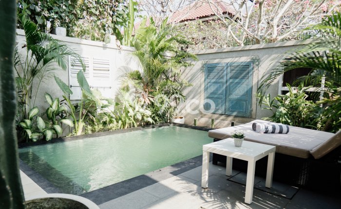 Jarang Ada! Rumah Kontrakan 3 Kamar Nyaman Siap Huni Pererenan Jarang Ada! Rumah Kontrakan 3 Kamar Nyaman Siap Huni Pererenan