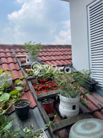 Jual Rumah Modern 3 KT di Limusnunggal, Bogor Jual Rumah Modern 3 KT di Limusnunggal, Bogor
