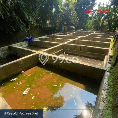 Kavling Tanah Dijual di Purwakarta Purwakarta Spesifikasi 743m2 Kavling Tanah Dijual di Purwakarta Purwakarta Spesifikasi 743m2