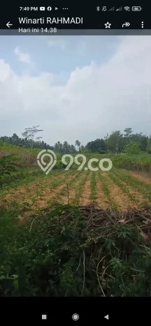 Dijual Tanah Kawasan Mertoyudan, Luas 30000m², Dekat Mertoyudan, Magelang, Magelang Dijual Tanah Kawasan Mertoyudan, Luas 30000m², Dekat Mertoyudan, Magelang, Magelang