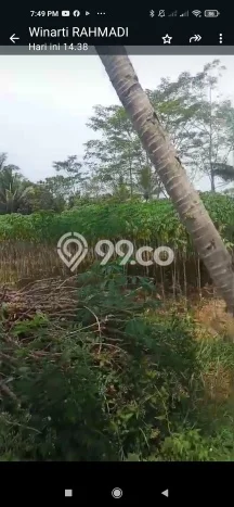 Dijual Tanah Kawasan Mertoyudan, Luas 30000m², Dekat Mertoyudan, Magelang, Magelang Dijual Tanah Kawasan Mertoyudan, Luas 30000m², Dekat Mertoyudan, Magelang, Magelang