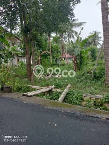 LOKASI STRATEGIS! Tanah di Temon, Luas 386m², Kawasan Berkembang, Cocok untuk Investasi LOKASI STRATEGIS! Tanah di Temon, Luas 386m², Kawasan Berkembang, Cocok untuk Investasi