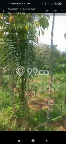 Dijual Tanah Kawasan Mertoyudan, Luas 30000m², Dekat Mertoyudan, Magelang, Magelang Dijual Tanah Kawasan Mertoyudan, Luas 30000m², Dekat Mertoyudan, Magelang, Magelang