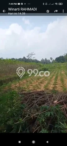 Dijual Tanah Kawasan Mertoyudan, Luas 30000m², Dekat Mertoyudan, Magelang, Magelang Dijual Tanah Kawasan Mertoyudan, Luas 30000m², Dekat Mertoyudan, Magelang, Magelang
