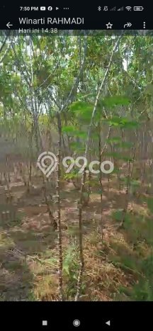 Dijual Tanah Kawasan Mertoyudan, Luas 30000m², Dekat Mertoyudan, Magelang, Magelang Dijual Tanah Kawasan Mertoyudan, Luas 30000m², Dekat Mertoyudan, Magelang, Magelang