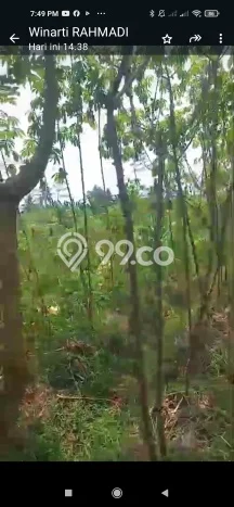 Dijual Tanah Kawasan Mertoyudan, Luas 30000m², Dekat Mertoyudan, Magelang, Magelang Dijual Tanah Kawasan Mertoyudan, Luas 30000m², Dekat Mertoyudan, Magelang, Magelang
