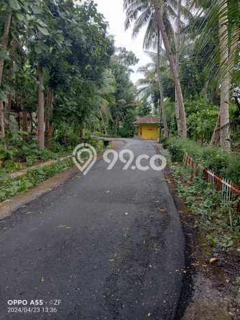 LOKASI STRATEGIS! Tanah di Temon, Luas 386m², Kawasan Berkembang, Cocok untuk Investasi LOKASI STRATEGIS! Tanah di Temon, Luas 386m², Kawasan Berkembang, Cocok untuk Investasi