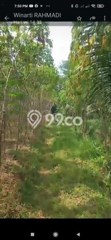 Dijual Tanah Kawasan Mertoyudan, Luas 30000m², Dekat Mertoyudan, Magelang, Magelang Dijual Tanah Kawasan Mertoyudan, Luas 30000m², Dekat Mertoyudan, Magelang, Magelang