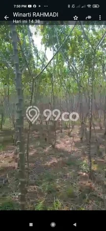 Dijual Tanah Kawasan Mertoyudan, Luas 30000m², Dekat Mertoyudan, Magelang, Magelang Dijual Tanah Kawasan Mertoyudan, Luas 30000m², Dekat Mertoyudan, Magelang, Magelang