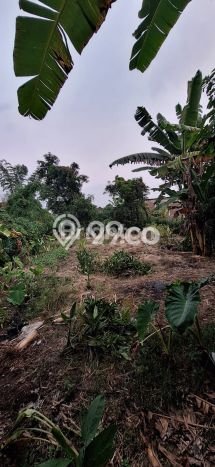 Rumah Eksklusif Siap Huni LT 1040m2 di Driyorejo, Gresik Rumah Eksklusif Siap Huni LT 1040m2 di Driyorejo, Gresik