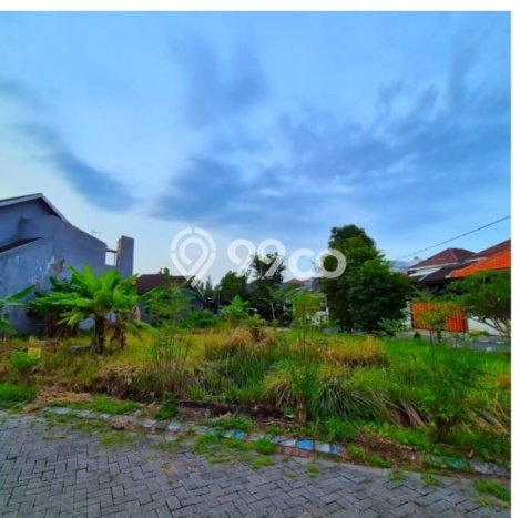 Jarang Ada! Tanah di Sidoarjo Punya Luas 157m2 SHM Jarang Ada! Tanah di Sidoarjo Punya Luas 157m2 SHM