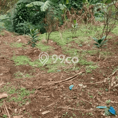 Tanah Dijual Lokasi Cimahi Utara, Cimahi Luas 652m2 Legalitas Aman Tanah Dijual Lokasi Cimahi Utara, Cimahi Luas 652m2 Legalitas Aman