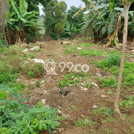 Tanah Dijual Lokasi Cimahi Utara, Cimahi Luas 652m2 Legalitas Aman Tanah Dijual Lokasi Cimahi Utara, Cimahi Luas 652m2 Legalitas Aman