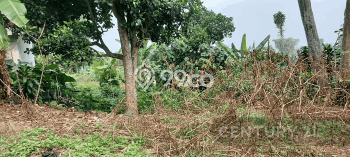 Tanah Dijual Lokasi Cimahi Utara, Cimahi Luas 652m2 Legalitas Aman Tanah Dijual Lokasi Cimahi Utara, Cimahi Luas 652m2 Legalitas Aman