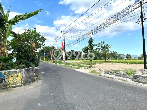 Tanah Dijual Lokasi Sleman Sleman SHM Tanah Dijual Lokasi Sleman Sleman SHM