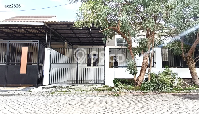 Disewakan Rumah Harga Terjangkau di Gununganyar Surabaya Punya 2 KT Disewakan Rumah Harga Terjangkau di Gununganyar Surabaya Punya 2 KT