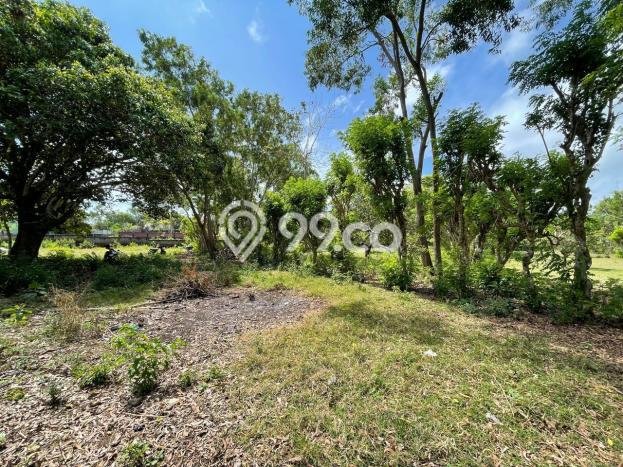 Tanah Dijual di Badung Seluas 13250m2 Strategis Tanah Dijual di Badung Seluas 13250m2 Strategis