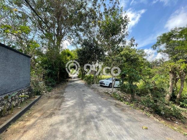 Tanah Dijual di Badung Seluas 13250m2 Strategis Tanah Dijual di Badung Seluas 13250m2 Strategis