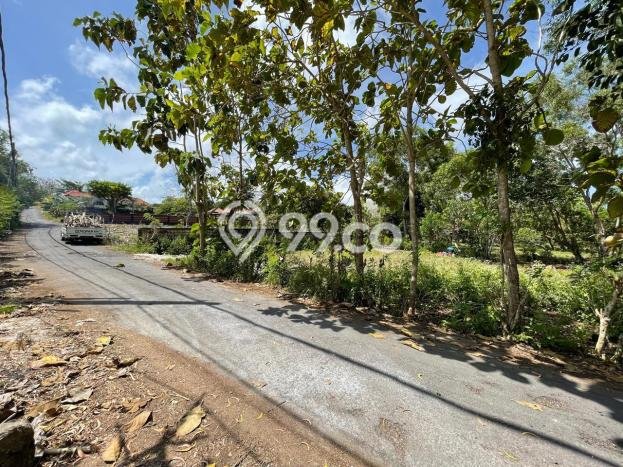 Tanah Dijual di Badung Seluas 13250m2 Strategis Tanah Dijual di Badung Seluas 13250m2 Strategis