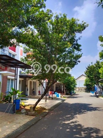Sewa Rumah Murah di Gading Serpong Tangerang Punya 3 Kamar Tidur Sewa Rumah Murah di Gading Serpong Tangerang Punya 3 Kamar Tidur