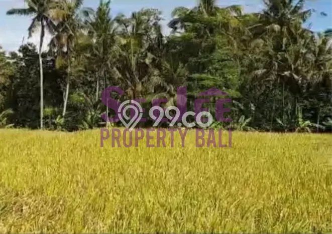 PELUANG INVESTASI! Vila Kawasan Ubud, Area 225m2m², ROI Menjanjikan PELUANG INVESTASI! Vila Kawasan Ubud, Area 225m2m², ROI Menjanjikan
