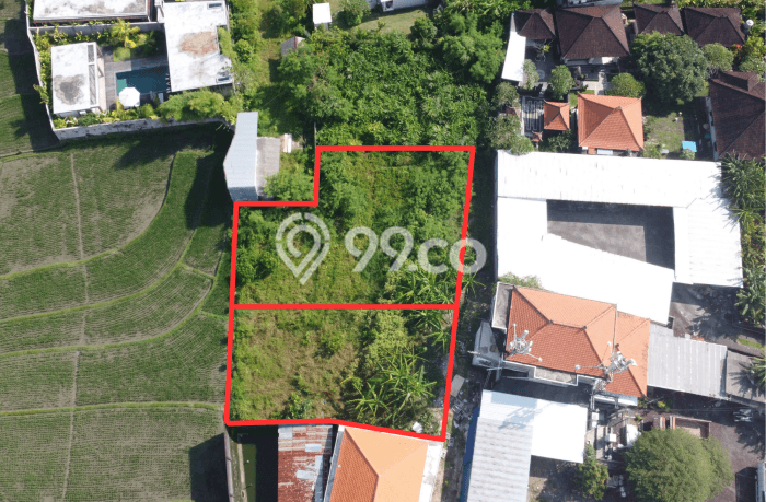 Kavling Tanah untuk Disewa di Dalung Lahan Luas 700m2 Kavling Tanah untuk Disewa di Dalung Lahan Luas 700m2