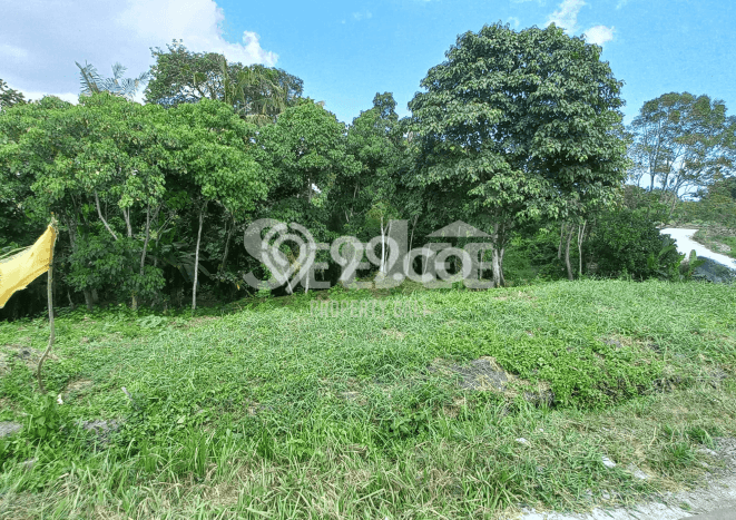 Lahan Kosong Dijual di Tabanan dengan Area 411m2 Lahan Kosong Dijual di Tabanan dengan Area 411m2