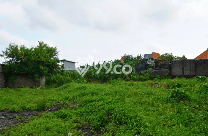Kavling Tanah untuk Disewa di Dalung Lahan Luas 700m2 Kavling Tanah untuk Disewa di Dalung Lahan Luas 700m2