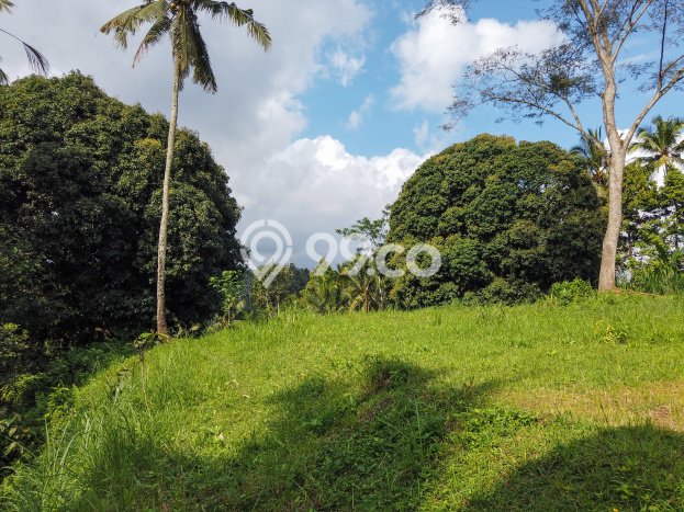 Dijual Tanah di Ubud Gianyar Luas 14631m2 SHM Dijual Tanah di Ubud Gianyar Luas 14631m2 SHM
