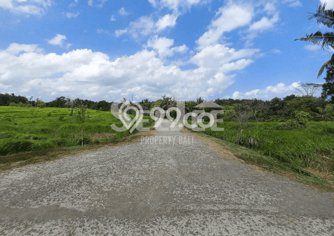 Lahan Kosong Dijual di Tabanan dengan Area 411m2 Lahan Kosong Dijual di Tabanan dengan Area 411m2