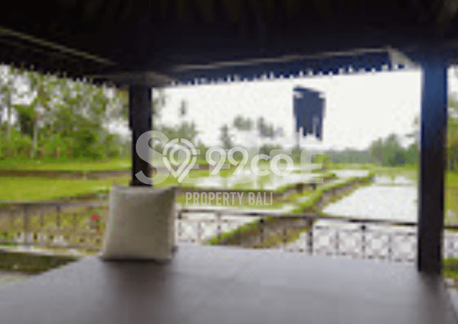Vila Premium Kawasan Ubud, Ukuran 800m2m², Akses ke berbagai fasilitas Vila Premium Kawasan Ubud, Ukuran 800m2m², Akses ke berbagai fasilitas
