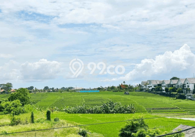 Vila Potensial Kawasan , Luas 1000m2m², Area Nyaman Vila Potensial Kawasan , Luas 1000m2m², Area Nyaman