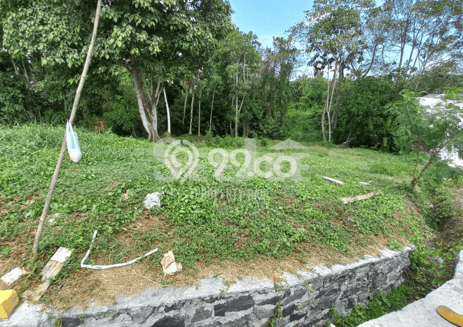Lahan Kosong Dijual di Tabanan dengan Area 411m2 Lahan Kosong Dijual di Tabanan dengan Area 411m2
