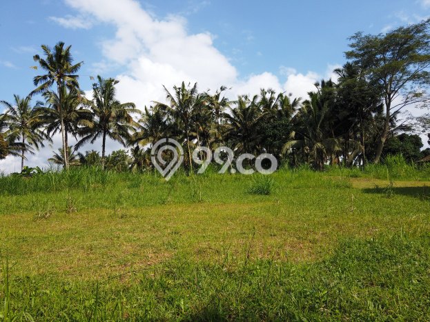 Dijual Tanah di Ubud Gianyar Luas 14631m2 SHM Dijual Tanah di Ubud Gianyar Luas 14631m2 SHM