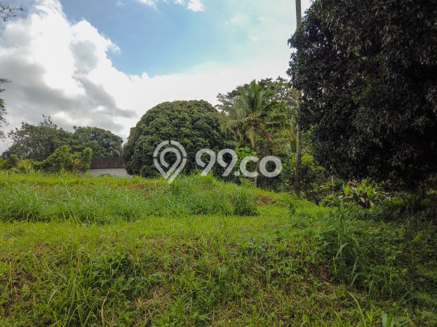 Dijual Tanah di Ubud Gianyar Luas 14631m2 SHM Dijual Tanah di Ubud Gianyar Luas 14631m2 SHM