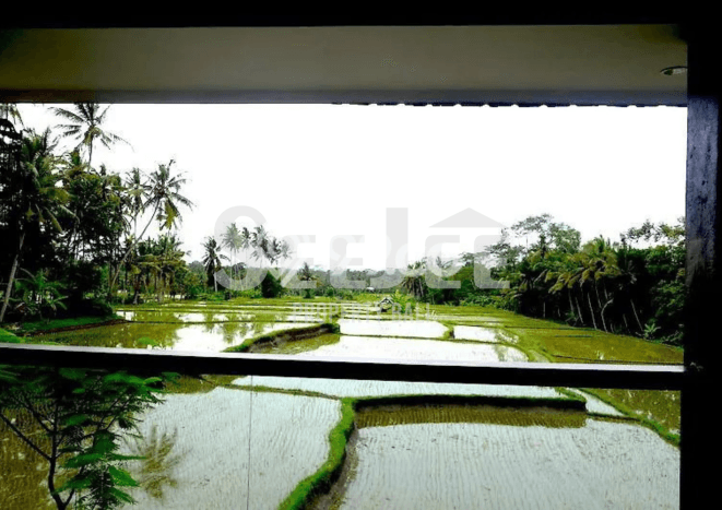 Vila Premium Kawasan Ubud, Ukuran 800m2m², Akses ke berbagai fasilitas Vila Premium Kawasan Ubud, Ukuran 800m2m², Akses ke berbagai fasilitas