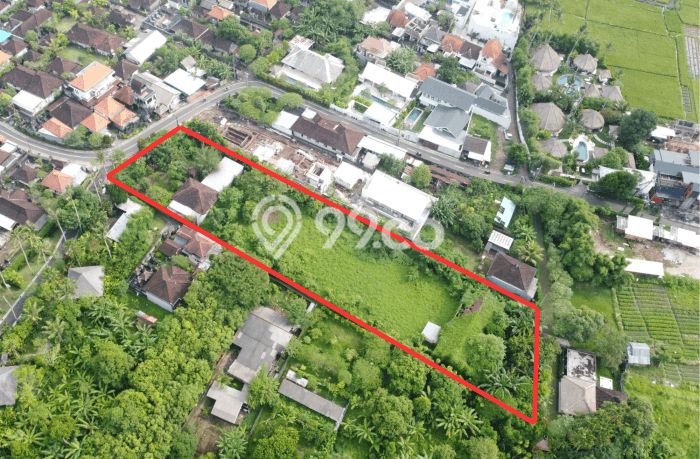 Lahan Investasi Lokasi Mengwi Badung SHM Lahan Investasi Lokasi Mengwi Badung SHM